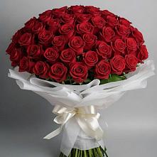 Букет 101 Красная роза Блэк Мэджик #REPLACE_PRED# Каменке