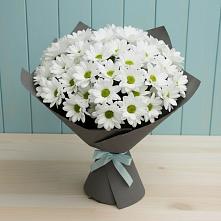 Букет цветов из:  Хризантемы в Каменке