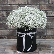Цветочная композиция из Гипсофила в шляпной коробке в Каменке