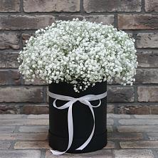 Цветочная композиция из Гипсофила в шляпной коробке в Каменке