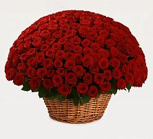 Премиум букет из: Розы #REPLACE_PRED# Каменке